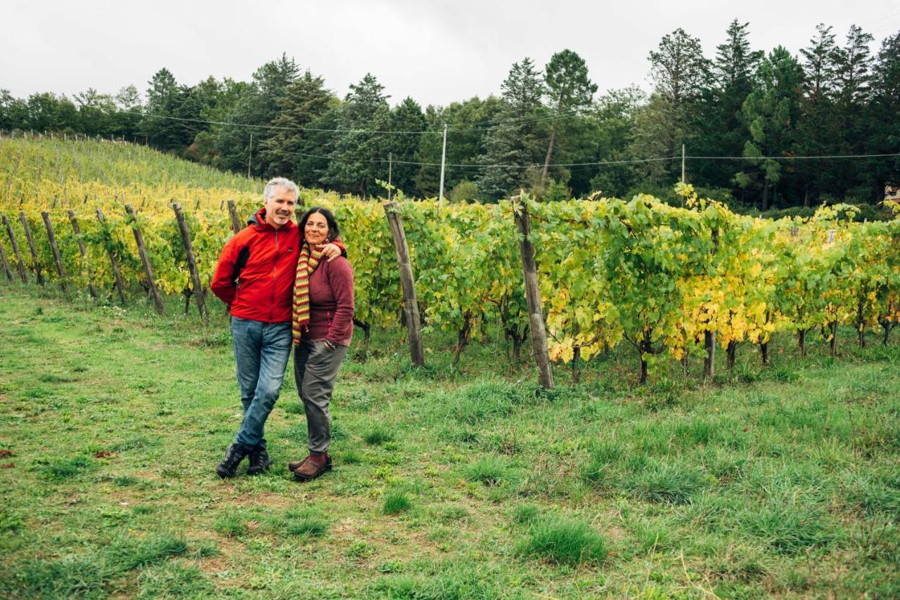 Podere Orto Wine Country House Trevinano Εξωτερικό φωτογραφία