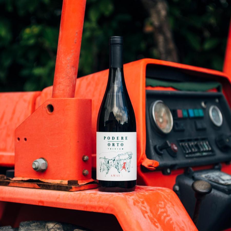 Podere Orto Wine Country House Trevinano Εξωτερικό φωτογραφία
